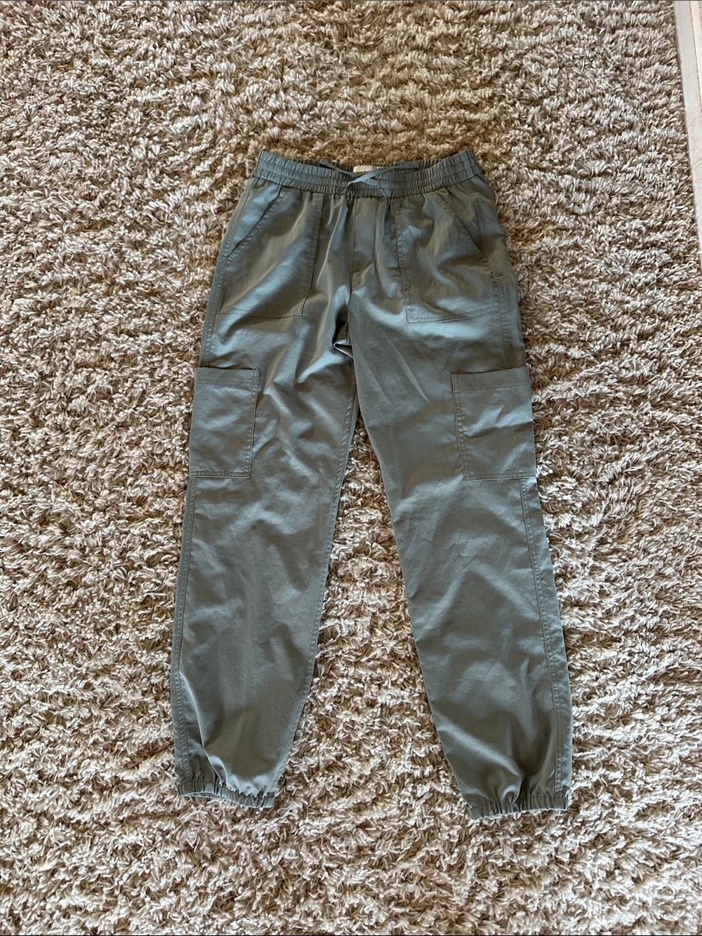 Abercrombie & Fitch Olive Cargo Jogger Pants